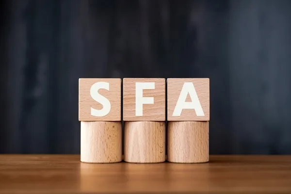 SFAと書かれた木製ブロック